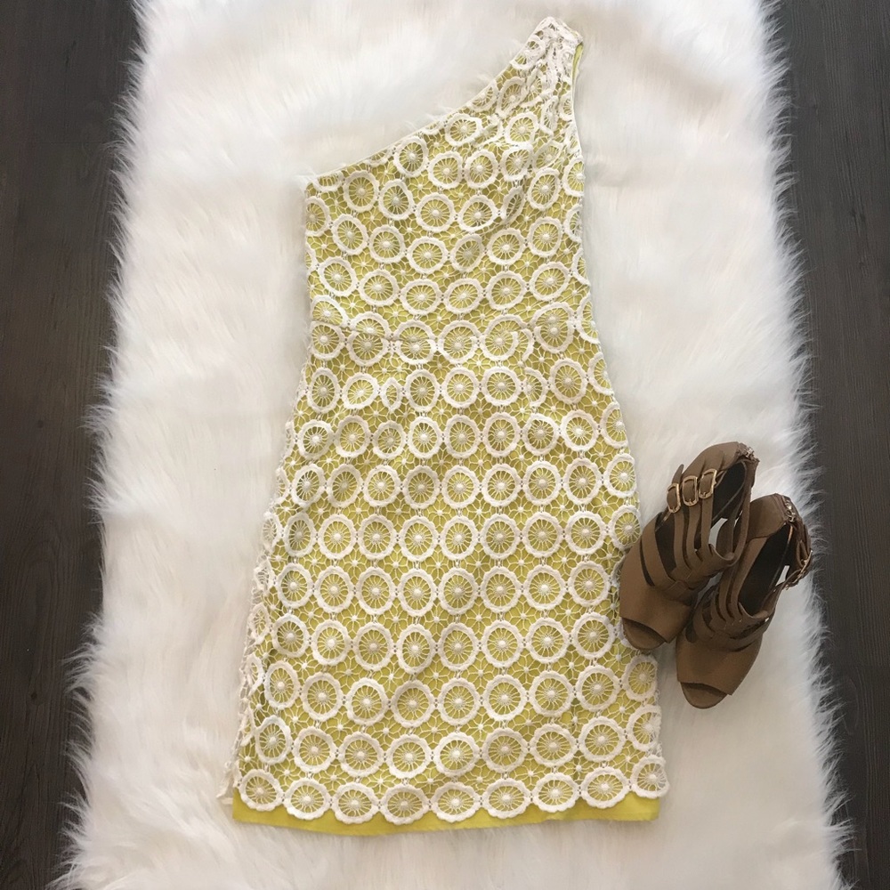 Vince Camuto Lace Dress